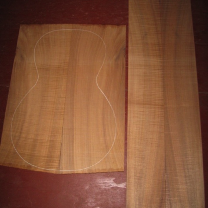 Koa Parlor/0 3A-4A $225
(2) back plates 7-1/8" x 19-1/2"
(2) side plates 4-1/4" x 33-1/2"
Air dried since 2015, 12-1/2" parlor pattern shown; full, tight fiddleback curl; vertical grain.
set #170-1175 Koa Parlor/0 3A-4A $225
(2) back plates 7-1/8" x 19-1/2"
(2) side plates 4-1/4" x 33-1/2"
Air dried since 2015, 12-1/2" parlor pattern shown; full, tight fiddleback curl; vertical grain.
set #170-1175
