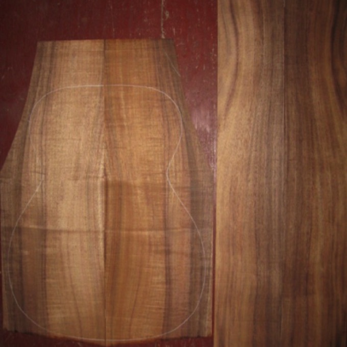 Koa OM/CL AA $135
(2) back plates 8-1/4" x 23-1/2"
(2) side plates 5" x 33-1/2"
Air dried since 2006, 15-1/4" OM pattern shown, light-med curl, vertical grain.
set #138-1195 Koa OM/CL AA $135
(2) back plates 8-1/4" x 23-1/2"
(2) side plates 5" x 33-1/2"
Air dried since 2006, 15-1/4" OM pattern shown, light-med curl, vertical grain.
set #138-1195