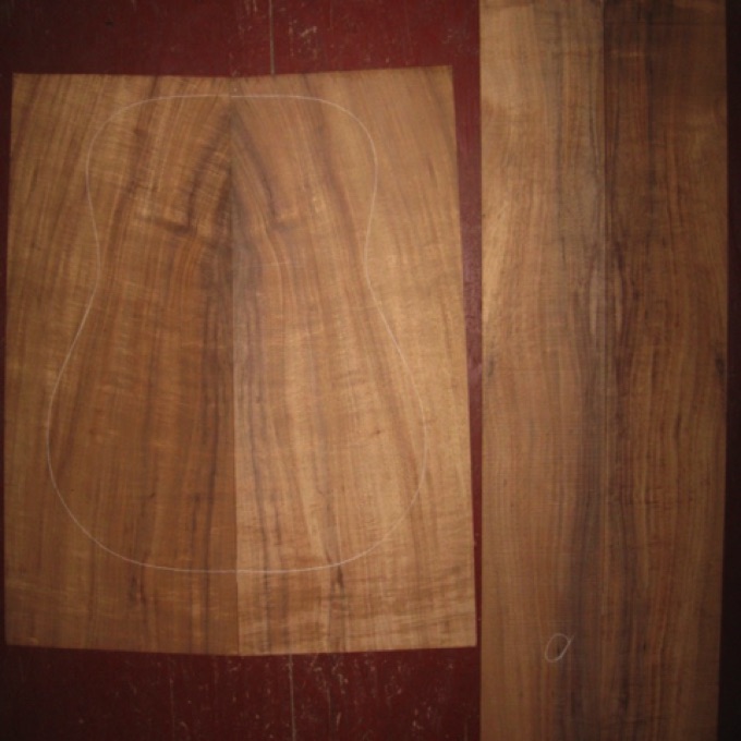 Koa OM/Dreadnought AA $145
(2) back plates 10" x 24-1/2" (taper to 9-1/4" width)
(2) side plates 5-1/4" x 32-1/2"
Air dried since 2006, 16" dred pattern shown, medium curl.
set #136-1302 Koa OM/Dreadnought AA $145
(2) back plates 10" x 24-1/2" (taper to 9-1/4" width)
(2) side plates 5-1/4" x 32-1/2"
Air dried since 2006, 16" dred pattern shown, medium curl.
set #136-1302