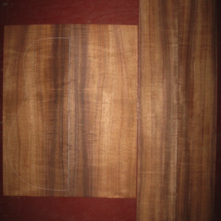 Koa OM/Dreadnought AAA $295
(2) back plates 8-7/8" x 22-3/4"
(2) side plates 5-1/4" x 32-1/2"
Air dried since 2006, 16" dred pattern shown, good curl, straight grain and vertical grain with rich color.
set #138-1320 Koa OM/Dreadnought AAA $295
(2) back plates 8-7/8" x 22-3/4"
(2) side plates 5-1/4" x 32-1/2"
Air dried since 2006, 16" dred pattern shown, good curl, straight grain and vertical grain with rich color.
set #138-1320