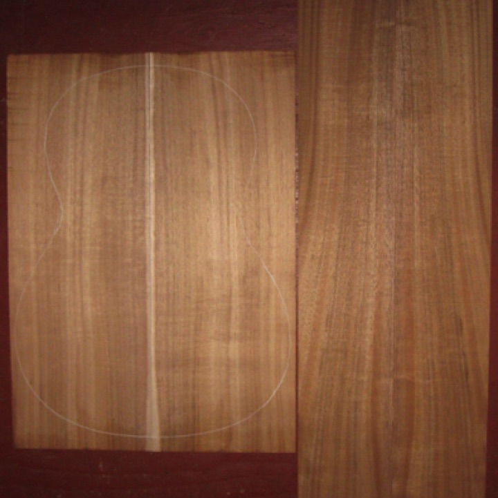 Koa CL/Parlor AA+ $135
(2) back plates 7-9/16" x 21"
(2) side plates 5" x 32-3/8"
Air dried since 2016, 14-3/4" classical pattern shown, bright colors with tight curl; straight and vertical grain.
set #178-1391 Koa CL/Parlor AA+ $135
(2) back plates 7-9/16" x 21"
(2) side plates 5" x 32-3/8"
Air dried since 2016, 14-3/4" classical pattern shown, bright colors with tight curl; straight and vertical grain.
set #178-1391