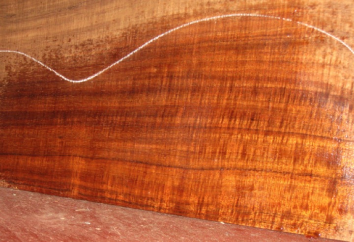 closeup, wetted
set #166-1436
6-pc OPTION:
Making an all-koa body? We can add a matching (consecutive bookmatch) top, making a 6-pc set for $400. closeup, wetted
set #166-1436
6-pc OPTION:
Making an all-koa body? We can add a matching (consecutive bookmatch) top, making a 6-pc set for $400.
