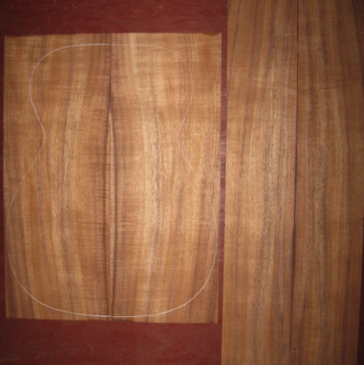 Koa OM/CL AA+ $180
(2) back plates 7-7/8" x 20-3/4"
(2) side plates 5" x 32-1/4"
Air dried since 2010, 15-1/4" OM pattern shown, straight grain, vertical grain, medium curl.
set #196-1439 Koa OM/CL AA+ $180
(2) back plates 7-7/8" x 20-3/4"
(2) side plates 5" x 32-1/4"
Air dried since 2010, 15-1/4" OM pattern shown, straight grain, vertical grain, medium curl.
set #196-1439