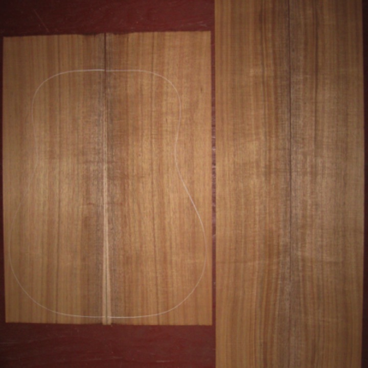 Koa OM/Dreadnought AAA $300
(2) back plates 8-1/2" x 24"
(2) side plates 6" x 35-1/2"
Air dried since 2015, 16" dred pattern shown, bright orange brown, straight & vertical grain, good curl. Gorgeous koa.
(2) consecutive sets available - set #178-1449 Koa OM/Dreadnought AAA $300
(2) back plates 8-1/2" x 24"
(2) side plates 6" x 35-1/2"
Air dried since 2015, 16" dred pattern shown, bright orange brown, straight & vertical grain, good curl. Gorgeous koa.
(2) consecutive sets available - set #178-1449