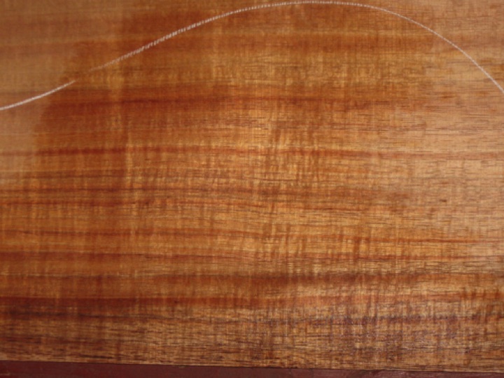 closeup, wetted
set #178-1526
6-pc OPTION for $400:
Making an all-koa body? We can add a matching (consecutive) top. With straight-vertical grain, this will make a fine soundboard. closeup, wetted
set #178-1526
6-pc OPTION for $400:
Making an all-koa body? We can add a matching (consecutive) top. With straight-vertical grain, this will make a fine soundboard.