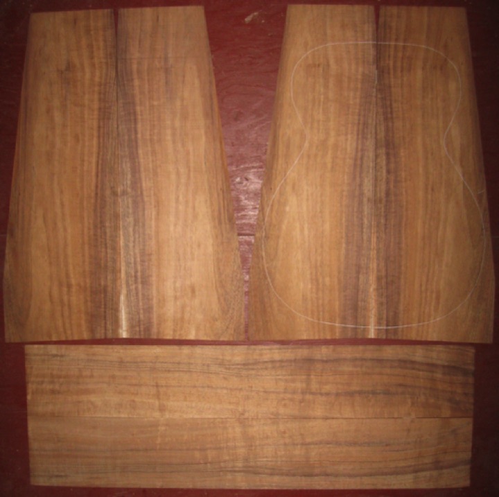6-pc Koa OM/CL AA+ $250
(4) top-back plates 8-1/2" x 23" (tapers as shown)
(2) side plates 5-1/8" x 32"
Air dried since 2006, 15-1/4" OM pattern shown, straight grain, rich colors and stripes, medium curl.
set #136-1612 6-pc Koa OM/CL AA+ $250
(4) top-back plates 8-1/2" x 23" (tapers as shown)
(2) side plates 5-1/8" x 32"
Air dried since 2006, 15-1/4" OM pattern shown, straight grain, rich colors and stripes, medium curl.
set #136-1612