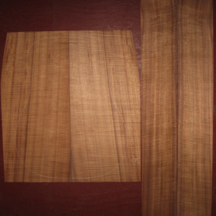Koa OM/Dreadnought AAAA+ $650
(2) back plates 9-7/8" x 21-5/8"
(2) side plates 5" x 32-3/4"
Air dried since 2005, 16" dred pattern shown, bright orange-brown with premium fiddleback curl throughout.
set #118-1739 Koa OM/Dreadnought AAAA+ $650
(2) back plates 9-7/8" x 21-5/8"
(2) side plates 5" x 32-3/4"
Air dried since 2005, 16" dred pattern shown, bright orange-brown with premium fiddleback curl throughout.
set #118-1739