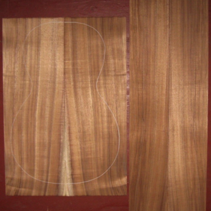 Koa Parlor/0 AA $80
(2) back plates 7" x 20-3/8"
(2) side plates 4-1/2" x 32"
Air dried since 2017, 12-1/2" parlor pattern shown, orange-brown koa with light curl and strong striping.
set #205-1750 Koa Parlor/0 AA $80
(2) back plates 7" x 20-3/8"
(2) side plates 4-1/2" x 32"
Air dried since 2017, 12-1/2" parlor pattern shown, orange-brown koa with light curl and strong striping.
set #205-1750