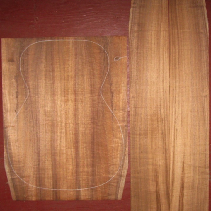 Koa OM/CL AA+ $170
(2) back plates 8-1/8" x 21-1/2" (tapers to 7-1/4" width)
(2) side plates 5-1/8" x 30-7/8"
Air dried since 2006, 15-1/4" OM pattern shown; good color, curl, stripes.
set #138-1790 Koa OM/CL AA+ $170
(2) back plates 8-1/8" x 21-1/2" (tapers to 7-1/4" width)
(2) side plates 5-1/8" x 30-7/8"
Air dried since 2006, 15-1/4" OM pattern shown; good color, curl, stripes.
set #138-1790
