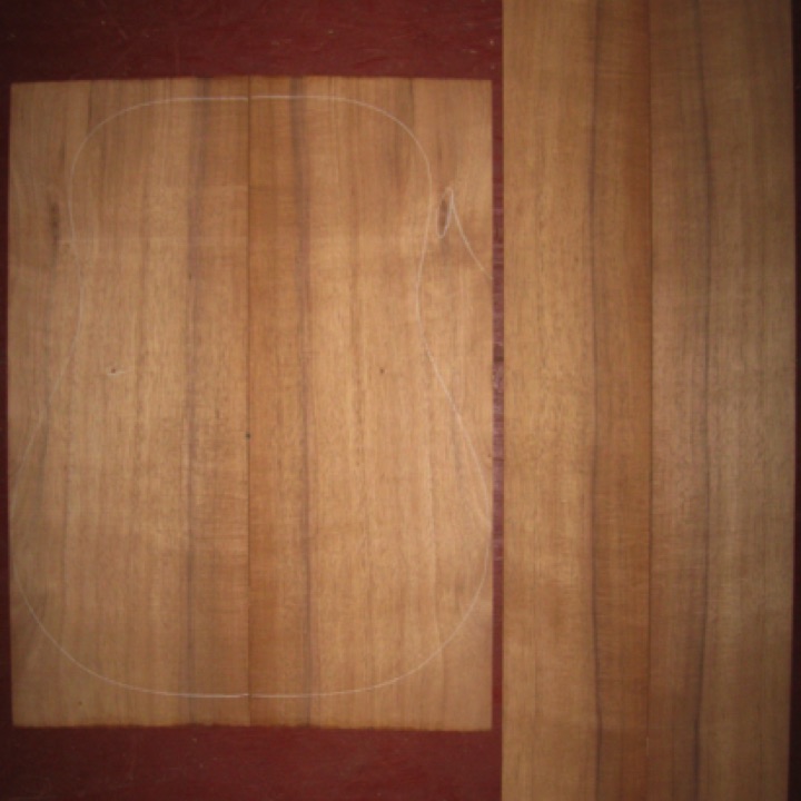 Koa OM/Dreadnought AA $115
(2) back plates 8-1/8" x 22"
(2) side plates 5" x 32-3/4"
Air dried since 2006, 16" dred pattern shown, straight- and vertical-grain koa with light curl.
set #129-992 Koa OM/Dreadnought AA $115
(2) back plates 8-1/8" x 22"
(2) side plates 5" x 32-3/4"
Air dried since 2006, 16" dred pattern shown, straight- and vertical-grain koa with light curl.
set #129-992
