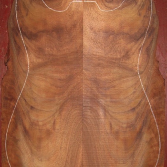 Koa Electric/Bass Top AA $40
(2) top plates 6-3/4" x 19-1/2", taper as shown
Air dried since 2006, 13" x 18-1/2" electric pattern shown, lots of color and figure.
(4) consecutive sets available - set #138-1111 Koa Electric/Bass Top AA $40
(2) top plates 6-3/4" x 19-1/2", taper as shown
Air dried since 2006, 13" x 18-1/2" electric pattern shown, lots of color and figure.
(4) consecutive sets available - set #138-1111