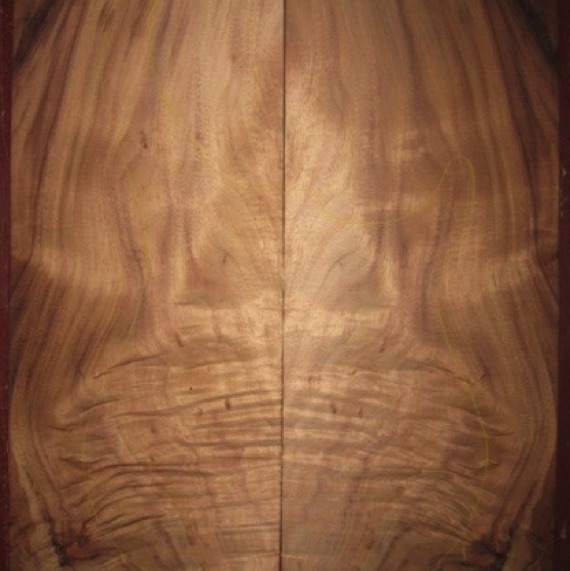 Koa Electric/Bass Top 3A+ $165
(2) top plates 8-3/4" x 21-1/2" .280" (7mm) thick
Air dried since 2006, 13" x 19" pattern shown, premium compression curl on lower half of instrument; extra thickness allows some contouring.
set #136-1141 Koa Electric/Bass Top 3A+ $165
(2) top plates 8-3/4" x 21-1/2" .280" (7mm) thick
Air dried since 2006, 13" x 19" pattern shown, premium compression curl on lower half of instrument; extra thickness allows some contouring.
set #136-1141