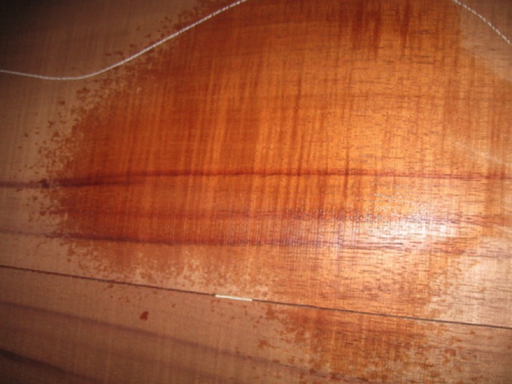 closeup, wetted
set #200-2347