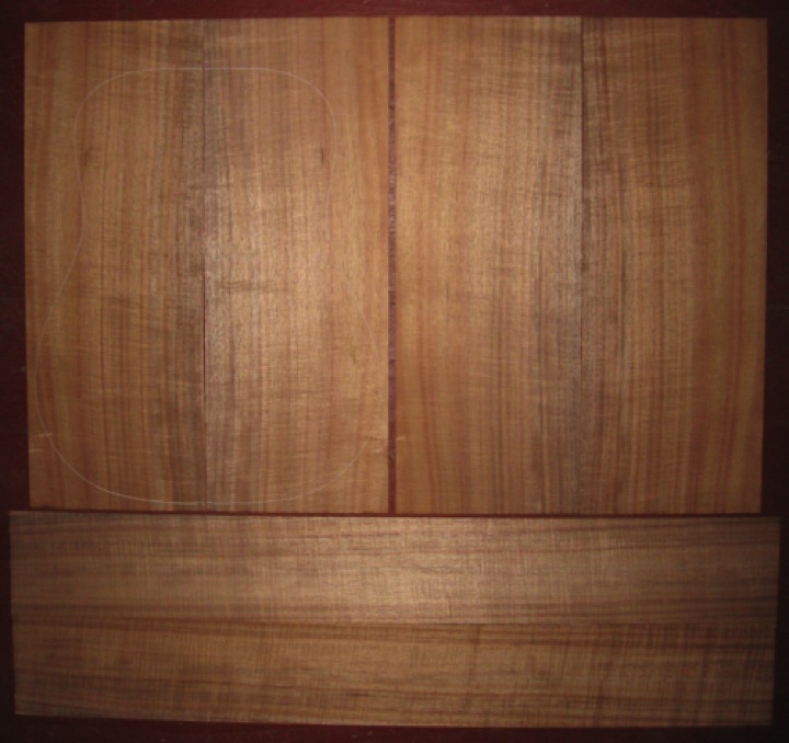 Koa OM/Dreadnought AAA $400
(4) top-back plates 8-1/2" x 22-7/8"
(2) side plates 5" x 36"
16" dred pattern shown, bright orange-brown, straight & vertical grain, tight curl. Gorgeous koa.
set #178-1525 Koa OM/Dreadnought AAA $400
(4) top-back plates 8-1/2" x 22-7/8"
(2) side plates 5" x 36"
16" dred pattern shown, bright orange-brown, straight & vertical grain, tight curl. Gorgeous koa.
set #178-1525