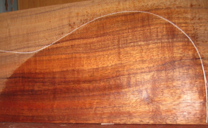 closeup, wetted
set #206-2502
Tight whorl seen at lower bout (above) can be featured, or pattern can be flipped with whorl placed in soundhole cutout or under fretboard. 