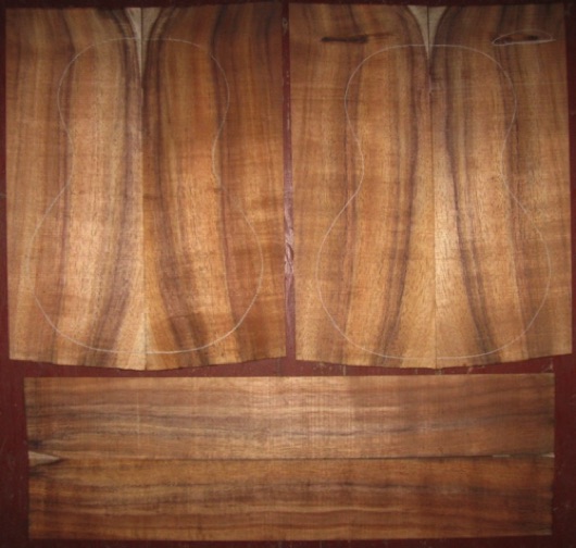Koa Tenor Ukulele AA $73
(4) top-back plates 5-1/4" x 14"
(2) side plates 3-1/4" x 20-1/2"
Air dried since 2013, good color and striping, straight grain.
(2) consecutive sets available - set #170-1191 Koa Tenor Ukulele AA $73
(4) top-back plates 5-1/4" x 14"
(2) side plates 3-1/4" x 20-1/2"
Air dried since 2013, good color and striping, straight grain.
(2) consecutive sets available - set #170-1191