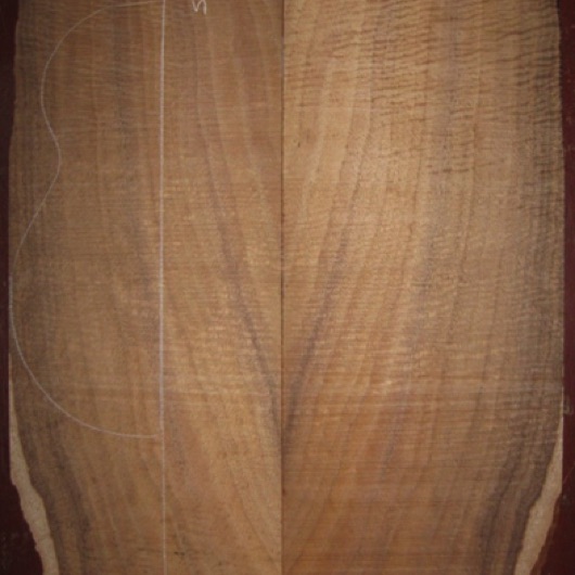 Koa Concert Ukulele 4A $95
(2) plates 6-15/16" (tapering) x 17-7/8"
Air dried since 2006, amazing fiddleback curl, big enough for concert back and sides (verify your dimensions).
set #118-1281 Koa Concert Ukulele 4A $95
(2) plates 6-15/16" (tapering) x 17-7/8"
Air dried since 2006, amazing fiddleback curl, big enough for concert back and sides (verify your dimensions).
set #118-1281