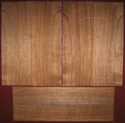 Koa Tenor 'Ukulele AA+ $119
(4) top-back plates 5-1/2" x 16"
(2) side plates 3-1/4" x 19-1/2"
Air dried since 2016, tenor pattern shown, bright koa w/tight curl, straight, vertical grain.
set #178-1454 Koa Tenor 'Ukulele AA+ $119
(4) top-back plates 5-1/2" x 16"
(2) side plates 3-1/4" x 19-1/2"
Air dried since 2016, tenor pattern shown, bright koa w/tight curl, straight, vertical grain.
set #178-1454