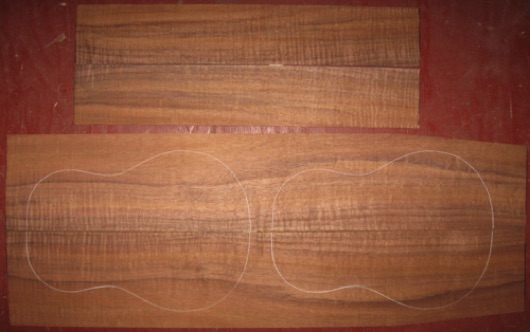Koa Tenor/Concert 'Ukulele 3A-4A $150
(2) top-back plates 4-3/4" x 28-1/4"
(2) side plates 3-1/4" x 18-1/2"
Air dried since 2010, gorgeous rich color; strong curl.
set #197-1486 Koa Tenor/Concert 'Ukulele 3A-4A $150
(2) top-back plates 4-3/4" x 28-1/4"
(2) side plates 3-1/4" x 18-1/2"
Air dried since 2010, gorgeous rich color; strong curl.
set #197-1486
