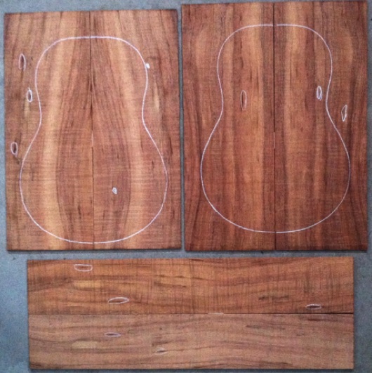 Koa Tenor Ukulele AAAA $125
(4) top-back plates 5" x 14"
(2) side plates 3-1/4" x 19"
Air dried since 1990s, tenor pattern shown, bright orange-brown color with strong flame.
set #187-1655 Koa Tenor Ukulele AAAA $125
(4) top-back plates 5" x 14"
(2) side plates 3-1/4" x 19"
Air dried since 1990s, tenor pattern shown, bright orange-brown color with strong flame.
set #187-1655