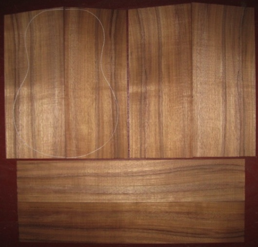 Koa Tenor Ukulele A+ $65
(4) top-back plates 5" x 12-3/8" (max.)
(2) side plates 3-3/8" x 18-1/2"
Air dried since 2017, tenor pattern shown, light curl.
set #205-1787 Koa Tenor Ukulele A+ $65
(4) top-back plates 5" x 12-3/8" (max.)
(2) side plates 3-3/8" x 18-1/2"
Air dried since 2017, tenor pattern shown, light curl.
set #205-1787