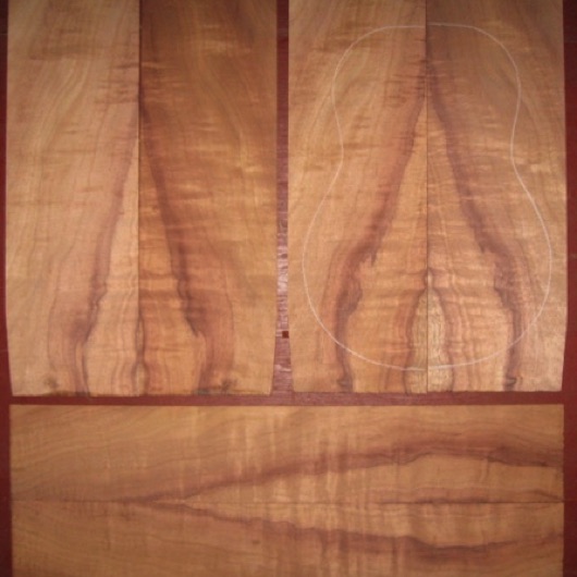 Koa Tenor Ukulele 3A-4A $180
(4) top-back plates 4-3/4" x 15"
(2) side plates 3-3/8" x 19-1/2"
Air dried since 2015, tenor pattern shown, strong stripes and flame.
set #170-1797 Koa Tenor Ukulele 3A-4A $180
(4) top-back plates 4-3/4" x 15"
(2) side plates 3-3/8" x 19-1/2"
Air dried since 2015, tenor pattern shown, strong stripes and flame.
set #170-1797