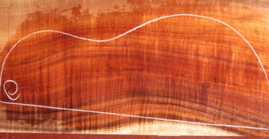 closeup, wetted
set #181-1921
Several small tight knots in upper bout area of top and back. Some can be trimmed away or buried under fretboard (e.g. the most visible knot, circled above). closeup, wetted
set #181-1921
Several small tight knots in upper bout area of top and back. Some can be trimmed away or buried under fretboard (e.g. the most visible knot, circled above).