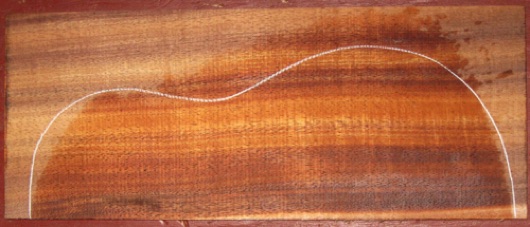 closeup, wetted
set #161-1974
Dark spot along center joint (seen above) is not a flaw; it can be featured or hidden under the fingerboard. closeup, wetted
set #161-1974
Dark spot along center joint (seen above) is not a flaw; it can be featured or hidden under the fingerboard.