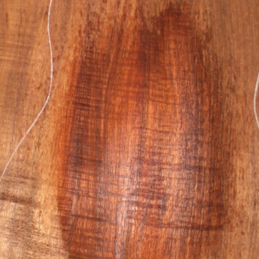 closeup, wetted
set #165-2294

One-piece back with matching sides. Sitka and redwood tops available--please inquire.