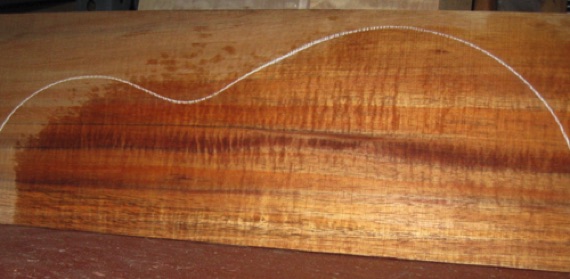 closeup, wetted
set #202-2356
Light spalting at center joint as seen above; solid wood which can mostly be hidden under the fingerboard if desired. Tight fiddleback curl. All plates from same board.
