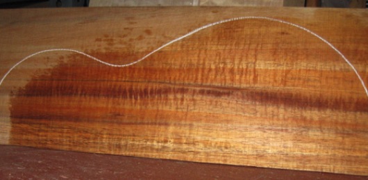 closeup, wetted
set #202-2356
Light spalting at center joint as seen above; solid wood which can mostly be hidden under the fingerboard if desired. Tight fiddleback curl. All plates from same board.