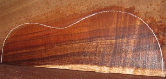 closeup, wetted
set #179-2367

Back plates wide enough to exclude the sapwood if desired. 