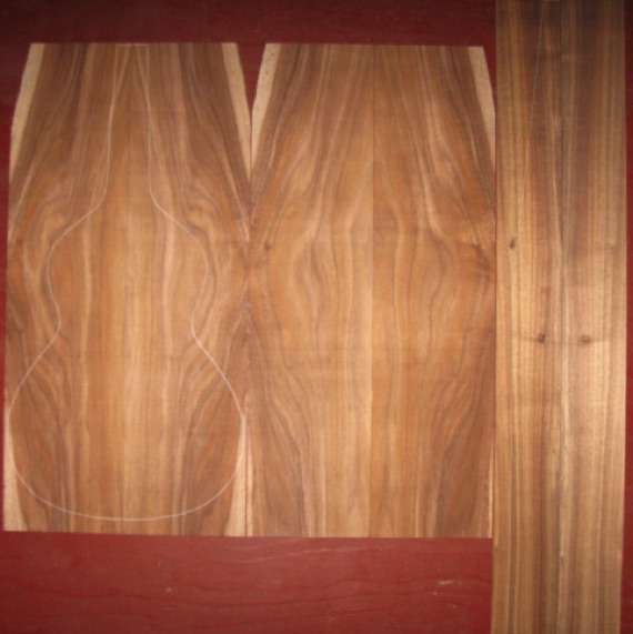 Koa Weissenborn A $215
(4) top-back plates 8-1/8" x 33-1/8"
(2) side plates 4-3/8" x 44"
Air dried since 2010, rift sawn, good color and density, lots of figure/striping.
set #193-1887 Koa Weissenborn A $215
(4) top-back plates 8-1/8" x 33-1/8"
(2) side plates 4-3/8" x 44"
Air dried since 2010, rift sawn, good color and density, lots of figure/striping.
set #193-1887