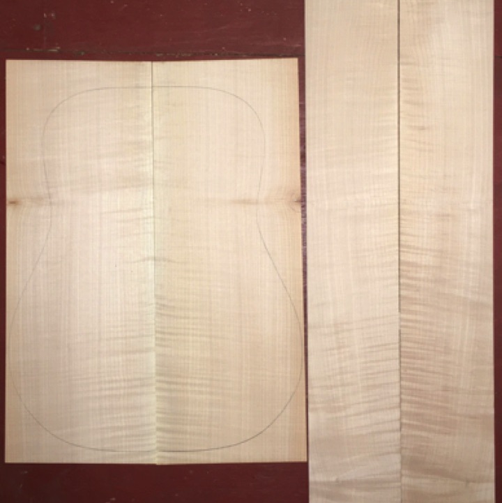 Curly Maple D/Jumbo AAA  $70
(2) back plates 8-3/8" x 22-1/4" (taper to 8")
(2) side plates 5" x 35"
Air dried since 2009, medium curl, clean white color, 16" dred pattern shown; straight and vertical grain.
set #146-2551