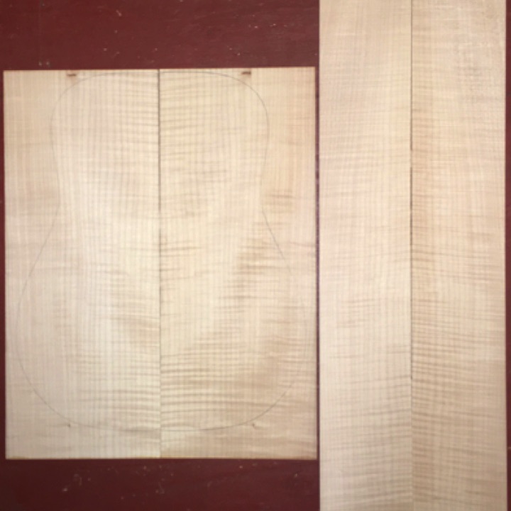 Curly Maple D/Jumbo AAA  $95
(2) back plates 8-5/8" x 21-3/4"
(2) side plates 5" x 35"
Air dried since 2009, good curl, clean white color, 16" dred pattern shown; straight and vertical grain.
set #146-2556