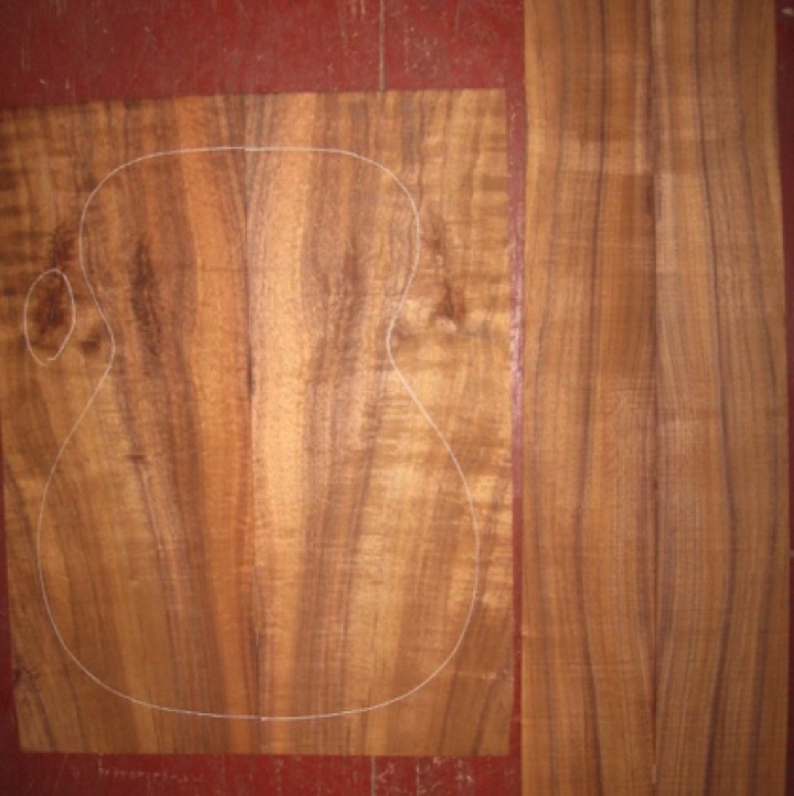 Koa OM/CL AA+ $120
(2) back plates 8-3/4" x 22-3/4"
(2) side plates 4-1/2" x 32" (taper to 4-1/4" width)
Air dried since 2006, 15-1/4" concert pattern shown, straight grain and good curl.
set #131-1159 Koa OM/CL AA+ $120
(2) back plates 8-3/4" x 22-3/4"
(2) side plates 4-1/2" x 32" (taper to 4-1/4" width)
Air dried since 2006, 15-1/4" concert pattern shown, straight grain and good curl.
set #131-1159