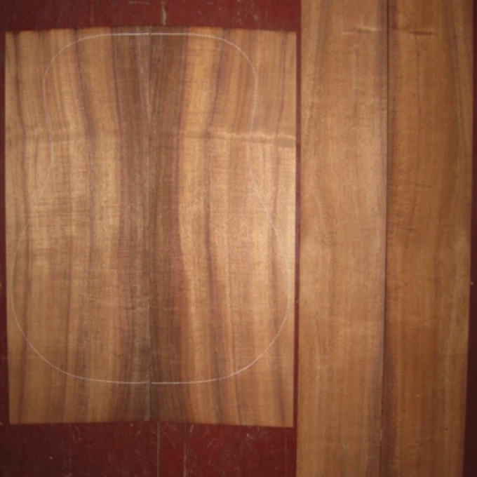 Koa OM/Dreadnought AAA $160
(2) back plates 8-3/8" x 23"
(2) side plates 5" x 32"
Air dried since 2006, 16" dred pattern shown, "big curl" at waist, straight & vertical grain, good color and curl.
set #137-1171 Koa OM/Dreadnought AAA $160
(2) back plates 8-3/8" x 23"
(2) side plates 5" x 32"
Air dried since 2006, 16" dred pattern shown, "big curl" at waist, straight & vertical grain, good color and curl.
set #137-1171