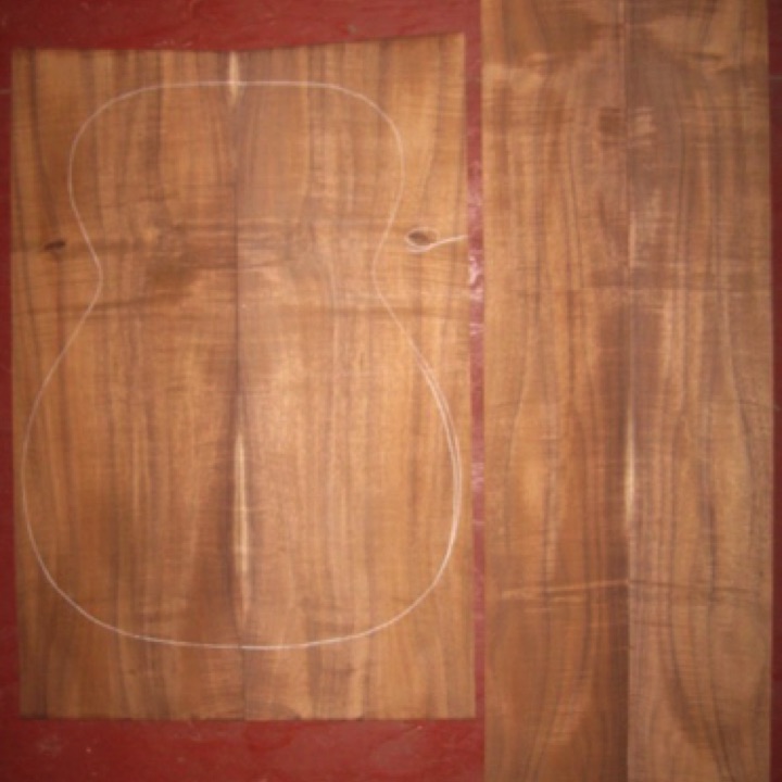 Koa OM/Classical AA $95
(2) back plates 8" x 23-1/2"
(2) side plates 5" x 35-1/2"
Air dried since 2006, 15-1/4" concert pattern shown; rIch color, medium curl, whorl on back plates at waist area.
set #165-1198 Koa OM/Classical AA $95
(2) back plates 8" x 23-1/2"
(2) side plates 5" x 35-1/2"
Air dried since 2006, 15-1/4" concert pattern shown; rIch color, medium curl, whorl on back plates at waist area.
set #165-1198