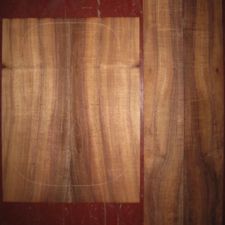 Koa OM/Dreadnought AA $85
(2) back plates 8-1/2" x 23"
(2) side plates 5" x 33-1/2"
Air dried since 2006, dred pattern shown, spalting at lower bout (circled), whorls on sides (no problem when finishing).
set #137-1291 Koa OM/Dreadnought AA $85
(2) back plates 8-1/2" x 23"
(2) side plates 5" x 33-1/2"
Air dried since 2006, dred pattern shown, spalting at lower bout (circled), whorls on sides (no problem when finishing).
set #137-1291