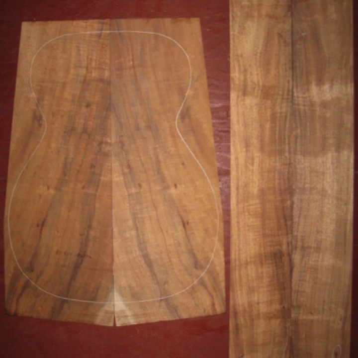 Koa OM/Classical AA $100
(2) back plates 8" x 22-1/2" (taper to 6-1/2")
(2) side plates 4-1/2" x 31-1/2"
Air dried since 2006, 15-1/4" concert pattern shown, two tight knots on sides , plenty color variation, good curl.
set #137-1337 Koa OM/Classical AA $100
(2) back plates 8" x 22-1/2" (taper to 6-1/2")
(2) side plates 4-1/2" x 31-1/2"
Air dried since 2006, 15-1/4" concert pattern shown, two tight knots on sides , plenty color variation, good curl.
set #137-1337