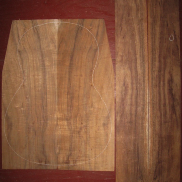 Koa OM/CL AA $80
(2) back plates 7-3/4" x 20-3/4" (taper to 6-1/4" width)
(2) side plates 4-3/8" x 32"
Air dried since 2006, 14-3/4" classical pattern shown, some flame, especially on back; tight knot on sides (circled).
set #136-1484 Koa OM/CL AA $80
(2) back plates 7-3/4" x 20-3/4" (taper to 6-1/4" width)
(2) side plates 4-3/8" x 32"
Air dried since 2006, 14-3/4" classical pattern shown, some flame, especially on back; tight knot on sides (circled).
set #136-1484