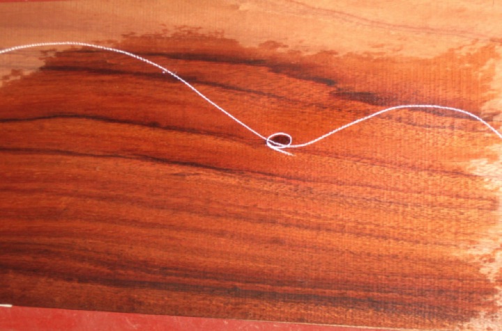 closeup, wetted
set #196-1487
Tight knot at waist (above), and along edge of sides; these might be cut away on OM, and will be cut away on smaller models. closeup, wetted
set #196-1487
Tight knot at waist (above), and along edge of sides; these might be cut away on OM, and will be cut away on smaller models.