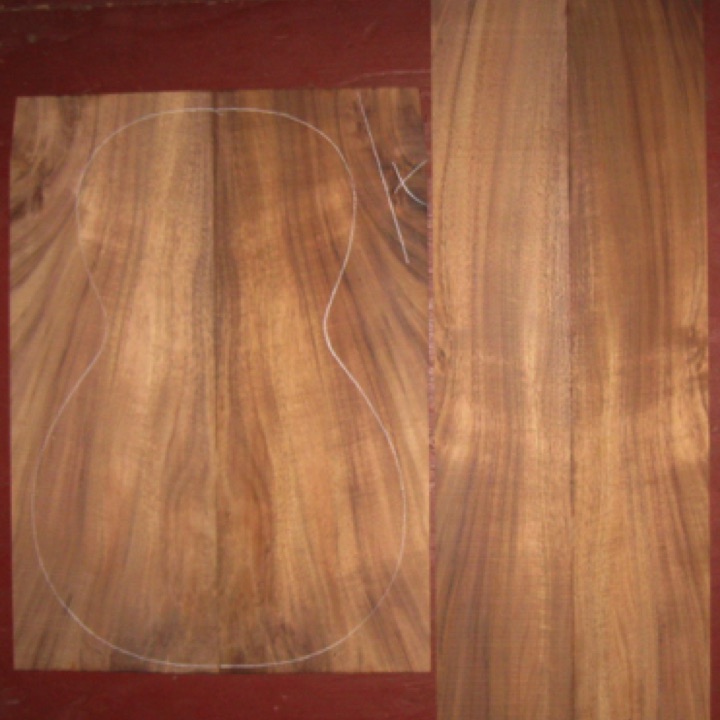 Koa Parlor A+ $65
(2) back plates 7" x 19-1/4"
(2) side plates 4-1/2 x 31"
Air dried since 2006, shown w/12-1/2" parlor pattern; light-medium curl.
set #136-1585 Koa Parlor A+ $65
(2) back plates 7" x 19-1/4"
(2) side plates 4-1/2 x 31"
Air dried since 2006, shown w/12-1/2" parlor pattern; light-medium curl.
set #136-1585