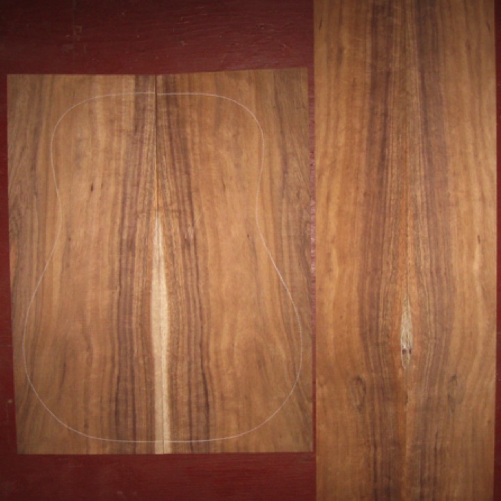 Koa OM/Dreadnought AA $115
(2) back plates 8-5/8" x 22"
(2) side plates 5-1/4" x 32-1/8"
Air dried since 2006, 16" dreadnought pattern shown, straight grain, off quarter shows flame-quilt figure.
set #136-1588 Koa OM/Dreadnought AA $115
(2) back plates 8-5/8" x 22"
(2) side plates 5-1/4" x 32-1/8"
Air dried since 2006, 16" dreadnought pattern shown, straight grain, off quarter shows flame-quilt figure.
set #136-1588
