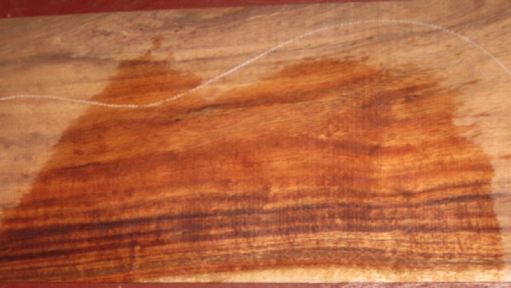 closeup, wetted
set #136-1588
Small knot on sides, circled in sap area; you can trim this away when profiling sides. Discounted for a couple small, minor tight knots. closeup, wetted
set #136-1588
Small knot on sides, circled in sap area; you can trim this away when profiling sides. Discounted for a couple small, minor tight knots.