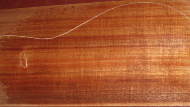 closeup, wetted
set #178-1668
Discounted due to minor whorl at upper bout of back (no attention required); and knot on sides 4-1/4" in from edge at heel end (at top of 1st photo) outside most side tapers. closeup, wetted
set #178-1668
Discounted due to minor whorl at upper bout of back (no attention required); and knot on sides 4-1/4" in from edge at heel end (at top of 1st photo) outside most side tapers.