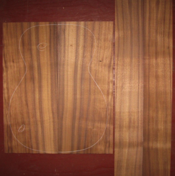 Koa OM/CL AA $65
(2) back plates 8-1/2" x 20-1/4"
(2) side plates 4-3/8 x 31"
Air dried since 2013, 15-1/4" pattern shown, tight knots (circled), vertical grain, good color and stripes, light curl.
set #161-1823 Koa OM/CL AA $65
(2) back plates 8-1/2" x 20-1/4"
(2) side plates 4-3/8 x 31"
Air dried since 2013, 15-1/4" pattern shown, tight knots (circled), vertical grain, good color and stripes, light curl.
set #161-1823