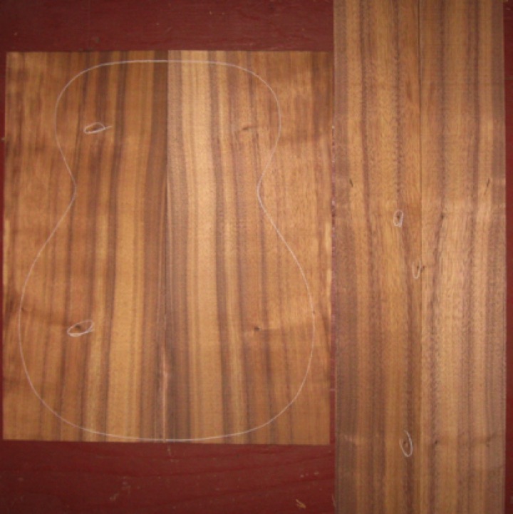 Koa OM/CL AA $65
(2) back plates 8-1/2" x 20-3/8"
(2) side plates 4-3/8 x 31-7/8"
Air dried since 2013, 15-1/4" pattern shown, tight knots (circled), vertical grain, gorgeous color and stripes, light curl.
set #161-1824 Koa OM/CL AA $65
(2) back plates 8-1/2" x 20-3/8"
(2) side plates 4-3/8 x 31-7/8"
Air dried since 2013, 15-1/4" pattern shown, tight knots (circled), vertical grain, gorgeous color and stripes, light curl.
set #161-1824