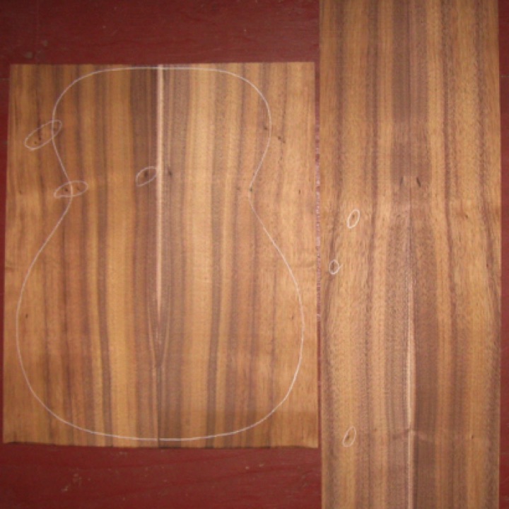 Koa OM/CL A+ $60
(2) back plates 8-1/4" x 20-3/8"
(2) side plates 4-5/8 x 31-7/8"
Air dried since 2013, vertical grain, rich color and striping, light curl, tight knots (circled).
set #161-1831 Koa OM/CL A+ $60
(2) back plates 8-1/4" x 20-3/8"
(2) side plates 4-5/8 x 31-7/8"
Air dried since 2013, vertical grain, rich color and striping, light curl, tight knots (circled).
set #161-1831