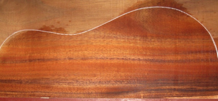 closeup, wetted
set #193-1873
Light cupping (1/16") on one back plate. Will not be a problem when sanded/braced, guaranteed. closeup, wetted
set #193-1873
Light cupping (1/16") on one back plate. Will not be a problem when sanded/braced, guaranteed.